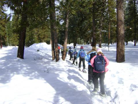 snowy trail