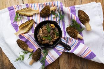 A Tasty Morel Meal