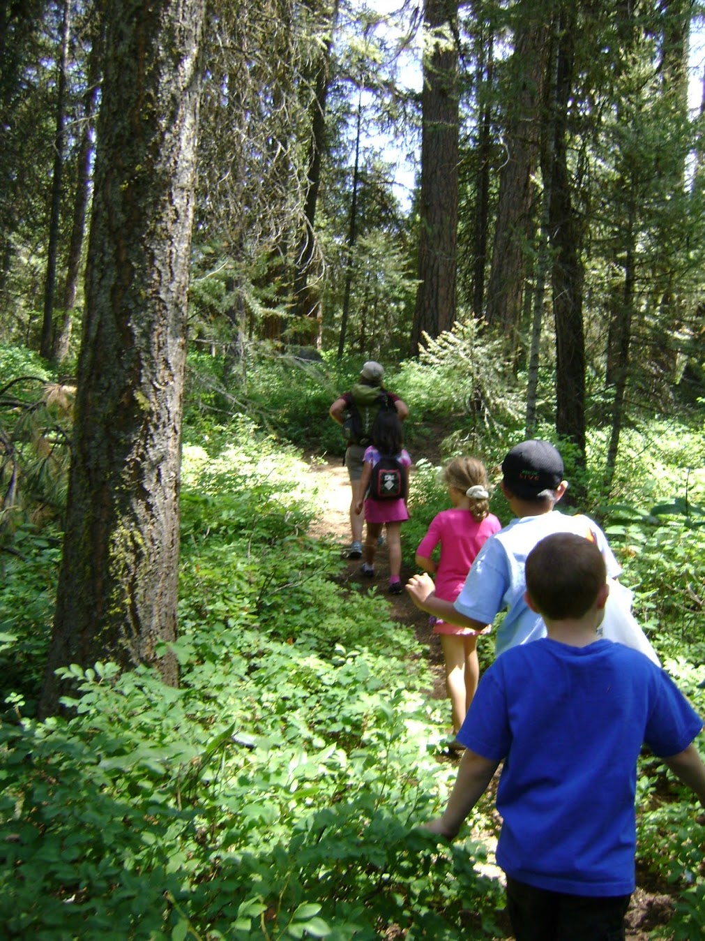 Students follow trail through Quad Forest